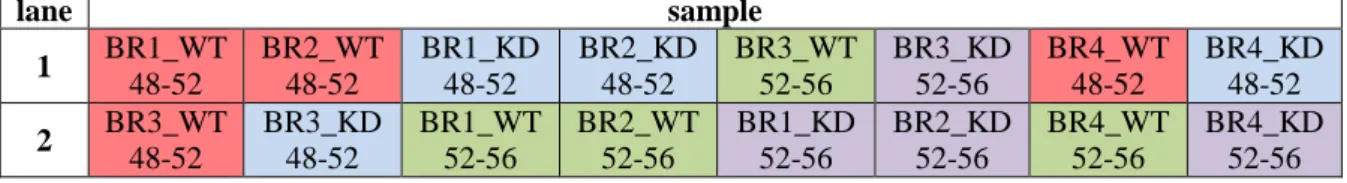 Table  2.2B.  Tc-zen2  KD  samples  from  the  pre-rupture  stage  (48-52  h  AEL,  blue)  and  the  corresponding WT samples (48-52 h AEL, red), Tc-zen2 KD samples from the post-rupture stage  (52-56 h AEL, purple) and the corresponding WT samples (52-(52