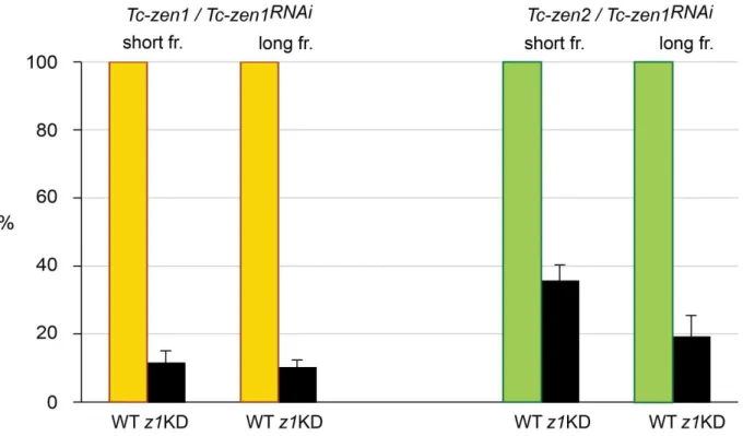 Figure  4.21.  Tc-zen1  long  dsRNA  fragment  causes  decrease  in  the  Tc-zen2  expression