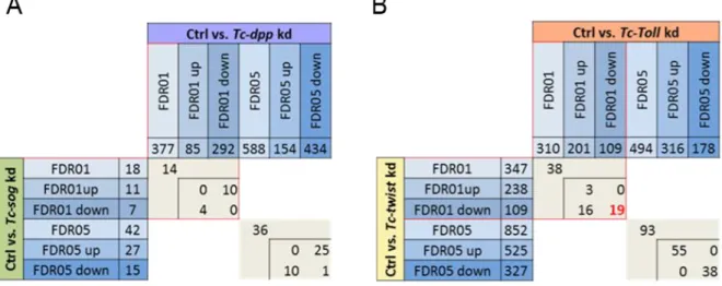 Figure 2.2. Genes differentially expressed upon Tc-Toll kd vs. Tc-twist kd and Tc-sog vs