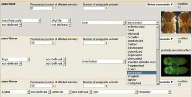 Figure 14 Data entry interface 