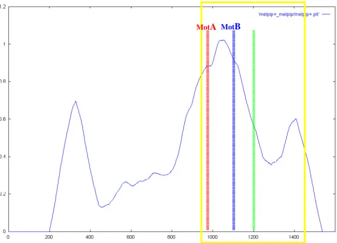 Abbildung 1.2.13.: Graphische Darstellung des Lwf-Scan-Ergebnisses für die 1,5 kb upstream- upstream-pipe-Region