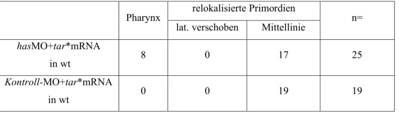 Tabelle 3: Relokalisierungsphänotypen nach tar*-Kombinationstransplantationen: Anzahl der  Embryonen mit nk2.1a Expression in den angegebenen Regionen in Embryonen 