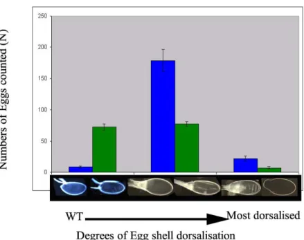 Fig. 14 Comparison of egg shell dorsalisation using different germ line Gal4 driver lines