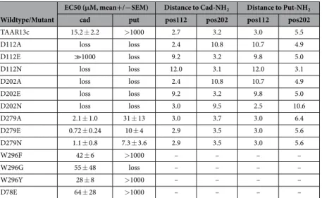 Table 1.   EC50 and contact distances for cadaverine and putrescine amino groups with Asp112 3.32  and  Asp202 5.42  for mutant and wildtype TAAR13c.