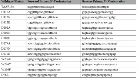 Table 2.   Sequences of mutagenic primers used.
