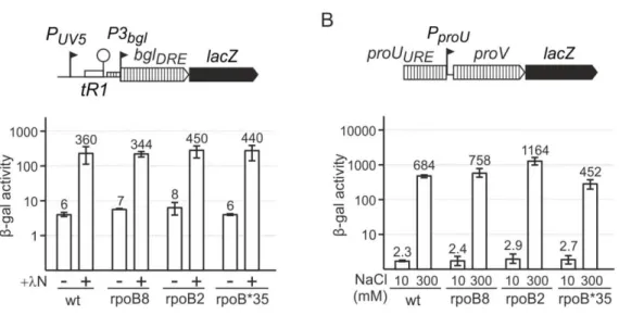 Figure  17:  Slow  moving  and  fast  moving  RNA  polymerase  mutants  did  not  affect  the  H-NS  repression  in  bgl DRE  and  proU