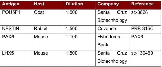 Table 3.15:  Primary Antibodies for immunofluorescence 