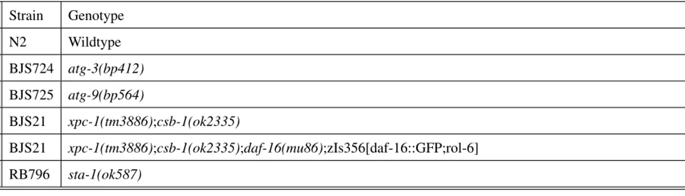 Table 2.1: C. elegans strains used in this study provided by the CGC