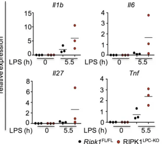 Figure  17.  LPS-injected  RIPK1 LPC-KO mice  showed  mildly  elevated  cytokine  expression levels in the liver 