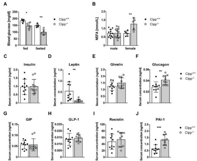 Figure 3.7 Serum parameters of control and CLPP deficient mice. 