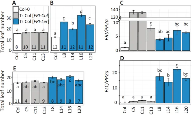 Figure 2-4. Characterization of transgenic lines carrying the FRI-Col or FRI-Ler allele