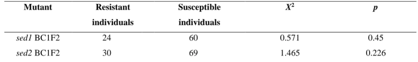 Table 2.1. Segregation ratio of resistant and susceptible plants of sed1 and sed2 in the BC 1 F 2  generation 