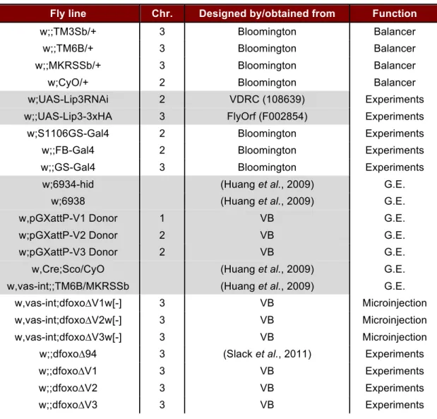 Table 2.2. Drosophila stocks used in this study. Balancer and experimental flies were 