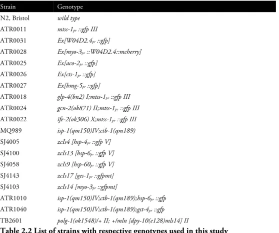 Table 2.2 List of strains with respective genotypes used in this study 