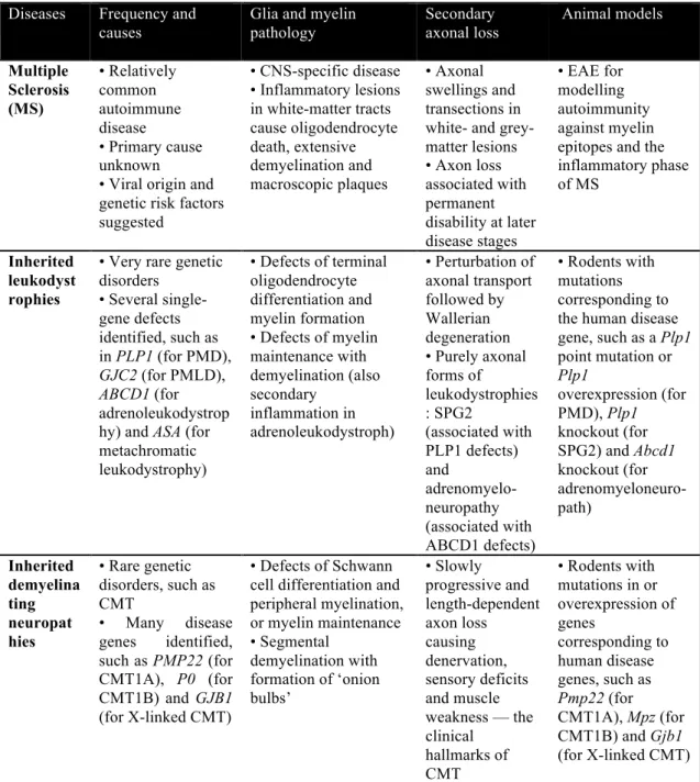 Table 1.1 Human diseases associated with myelin defects and secondary axonal degeneration  Diseases   Frequency and 