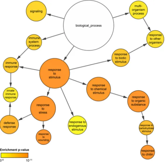 Figure 1-8: GO term enrichment analysis of MLA CC -upregulated genes at 2 hours after induction