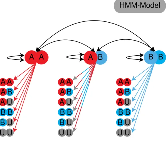 Figure 3. Schematic of the state model used in TIGER. Red indicates parent A, blue indicates parent B and grey  absence of information.