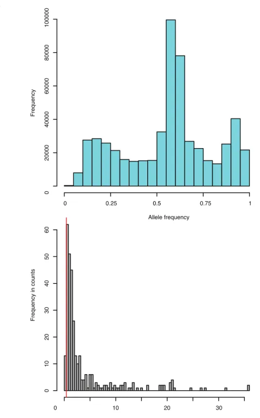 Figure 16. A) Histogram of the allele frequency bias (x-axis) between TLF1 and H4x4 (0 and 1) as assessed on  markers before imputation with TIGER, indicating a bias towards the H4x4 allele