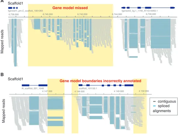 Figure 2 | Examples of incorrectly annotated gene models   