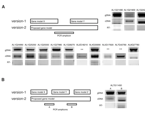 Figure 6 | Experimental validation of merged gene models in version-2 annotation 