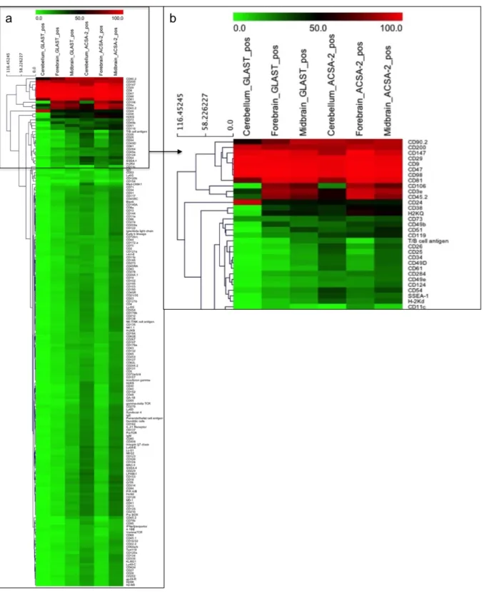 Figure 3.1: Visualization of the cell surface marker screen as heat map. 