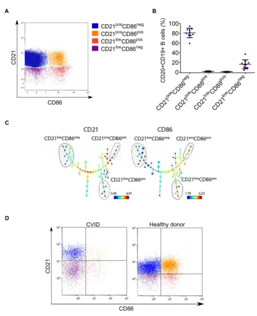 Figure 6. CD21 and CD86 defined four B-cell subsets in peripheral blood from  healthy donors