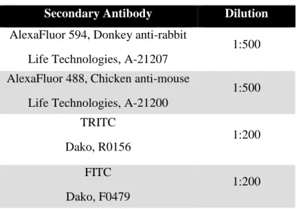 Table 6: Secondary antibodies used for immunofluorescence Secondary Antibody  Dilution  AlexaFluor 594, Donkey anti-rabbit 