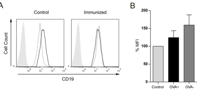 Fig. 3.6 CD19 expression in OVA-specific B cells. OVA-specific B cells from immunized mice were stained for their expression of CD19 and analyzed by flow cytometry