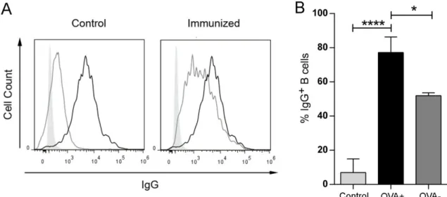 Fig. 3.9 Percentage of IgG + B cells. OVA-specific B cells from immunized mice were stained for their expression of IgG and analyzed by flow cytometry