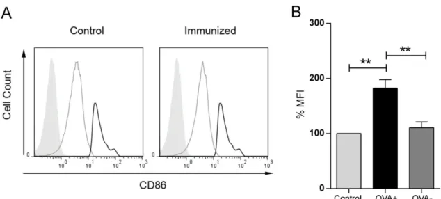 Fig. 3.12 CD86 expression in OVA-specific B cells. OVA-specific B cells from immunized mice were stained for their expression of CD86 and analyzed by flow cytometrry