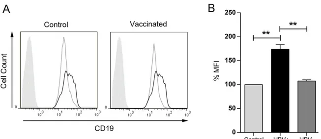 Fig. 3.19 CD19 expression in HBV-specific B cells. HBV-specific B cells from vaccinated donors were stained for their expression of CD19 and analyzed by flow cytometry