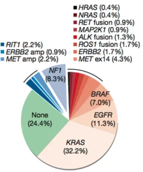 Figure  3: Distribution  of  oncogenic  driver  mutations  in  lung  adenocarcinoma  (Cancer Genome Atlas Research Network, 2014)