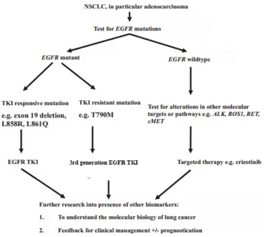 Figure  6: Relevance  of  molecular  pathology  for  treatment  of  NSCLC (adapted  from (W