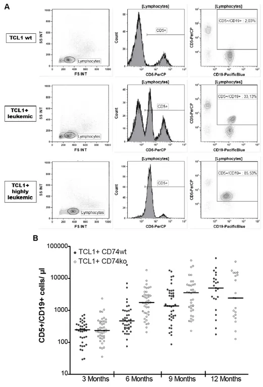 Figure 9: Absolute numbers of CD5-expressing B cells in TCL1 +  CD74 wt  and TCL1 + CD74 ko  mice 