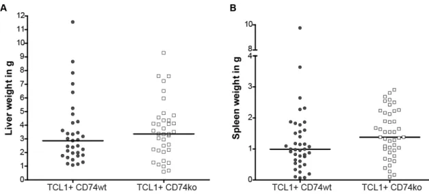 Figure 10: Hepatosplenomegaly in TCL1 +  CD74 wt  and TCL1 +  CD74 ko  mice 