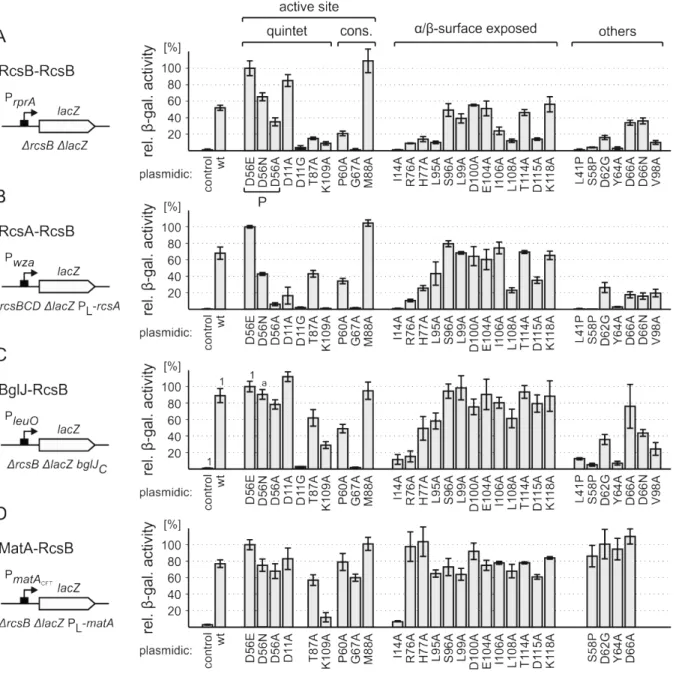 Figure    14.    Effects    of    active    site,    α/β-­‐surface    exposed,    and    other    residues    on    transcriptional    activation