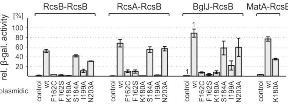 Figure   15.   Effects   of   residues   in   DNA-­‐binding   domain   on   transcriptional   activation