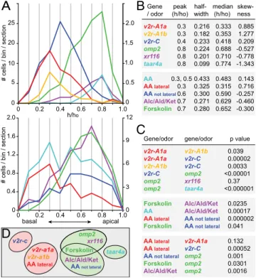 Fig. 4. Basal-to-apical distributions were quanti ﬁ ed for olfactory receptor genes and odor responses