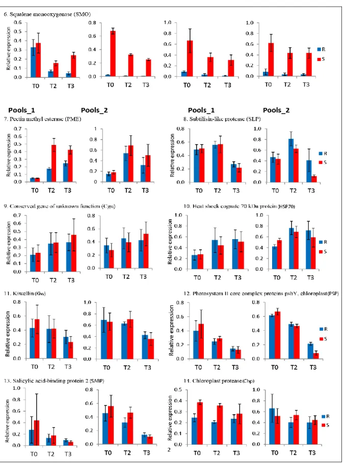 Fig. 2.12.   Expression  analysis  by  qRT-PCR.  The  resistant  and  susceptible  pools  are  shown  in  blue  and  red  bars,  respectively, at three time points (T0, T2 and T3)