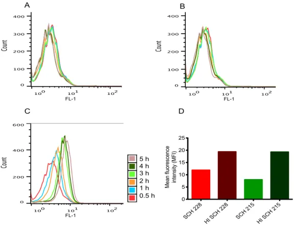 Figure 2 SCH 228 and SCH 215 M. avium inhibit phago-lysosomal processing in human neutrophils