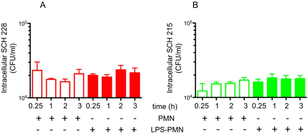 Figure 9 Priming with LPS does not enhance SCH 228 and SCH 215 killing by human neutrophils