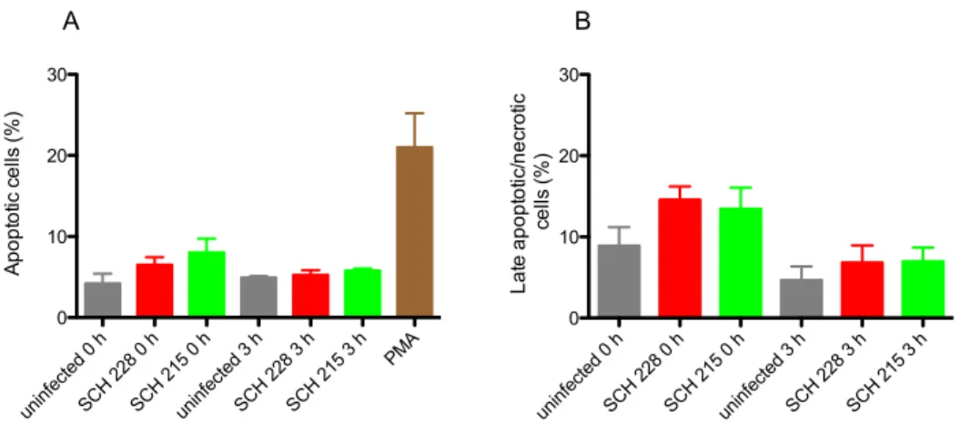 Figure 10 M. avium isolates, SCH 228 and SCH 215, do not alter neutrophil death pathways