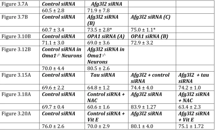 Figure   3.7A    Control   siRNA    Afg3l2   siRNA           