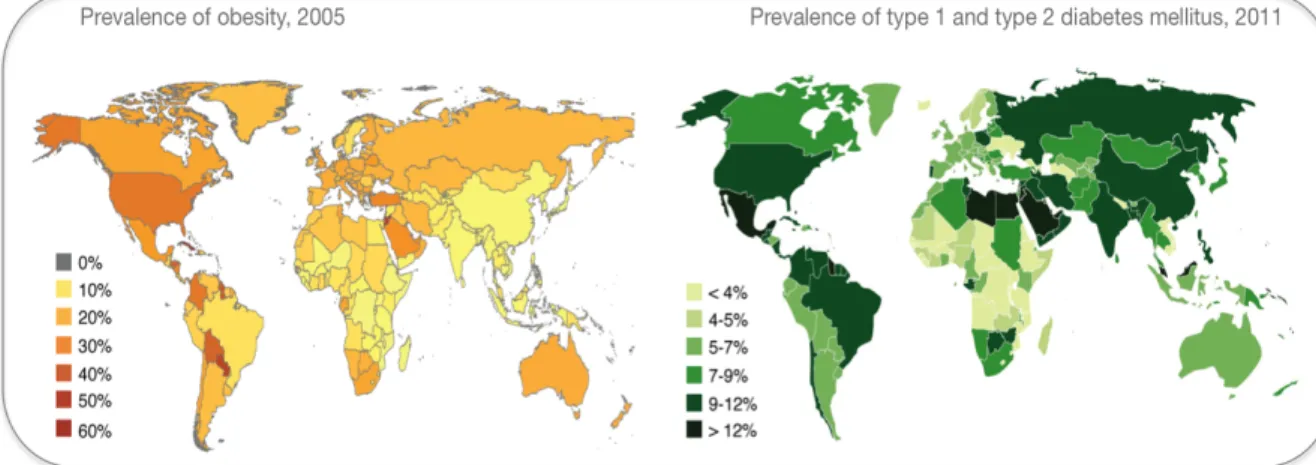 Figure 1.1: Schematic illustration of the global obesity and diabetes epidemic   Over  the  last  decades,  the  prevalence  of  obesity  has  dramatically  increased,  affecting  approximately  20 % of the adult population in Central Europe and 30 % in th
