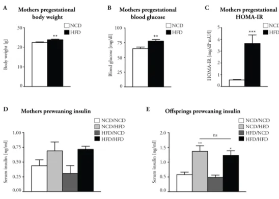 Figure  3.1.2  Maternal  HFD-feeding  induces  pregestational  metabolic  abnormalities and hyperinsulinemia during lactation in the offspring 