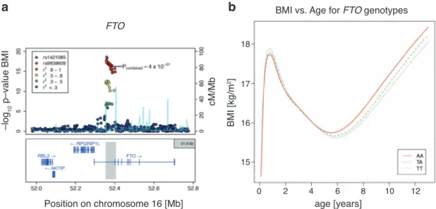 Figure 1 . 2 : Genome wide association studies link FTO to obesity (a) A cluster of single nucleotide polymorphisms (SNPs) within the first intron of the human FTO gene is significantly associated with increased BMI