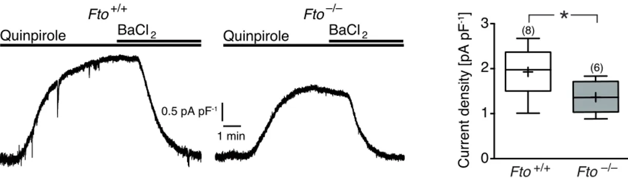 Figure 3 . 10 : Reduced GIRK dependent current density in Fto-deficient mice