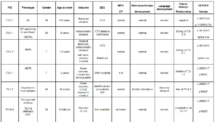 Table RE patients with DEPDC5 variants 