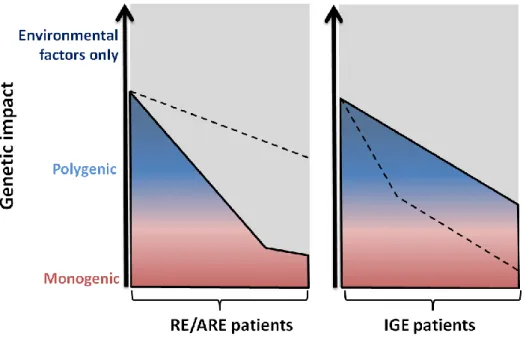 Figure 3 Expected genetic factors for idiopathic epilepsies. Dashed lines indicate the expected genetic contribution 