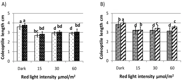 Figure  9.  Coleoptile  lengths  of  barley  seedlings  grown  in  the  dark  or  under  continuous  red  light
